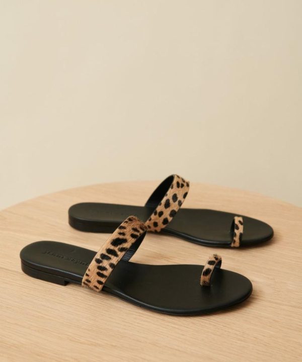 Brianmurphy.shopda6bd885fc 3